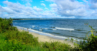 Podgląd