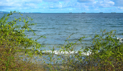 Podgląd