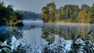 Podgląd