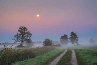 Podgląd
