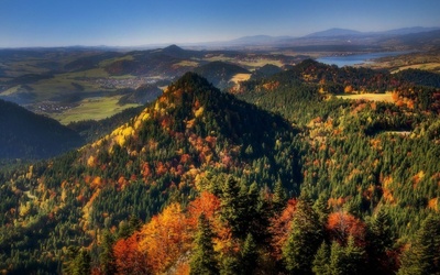 Podgląd