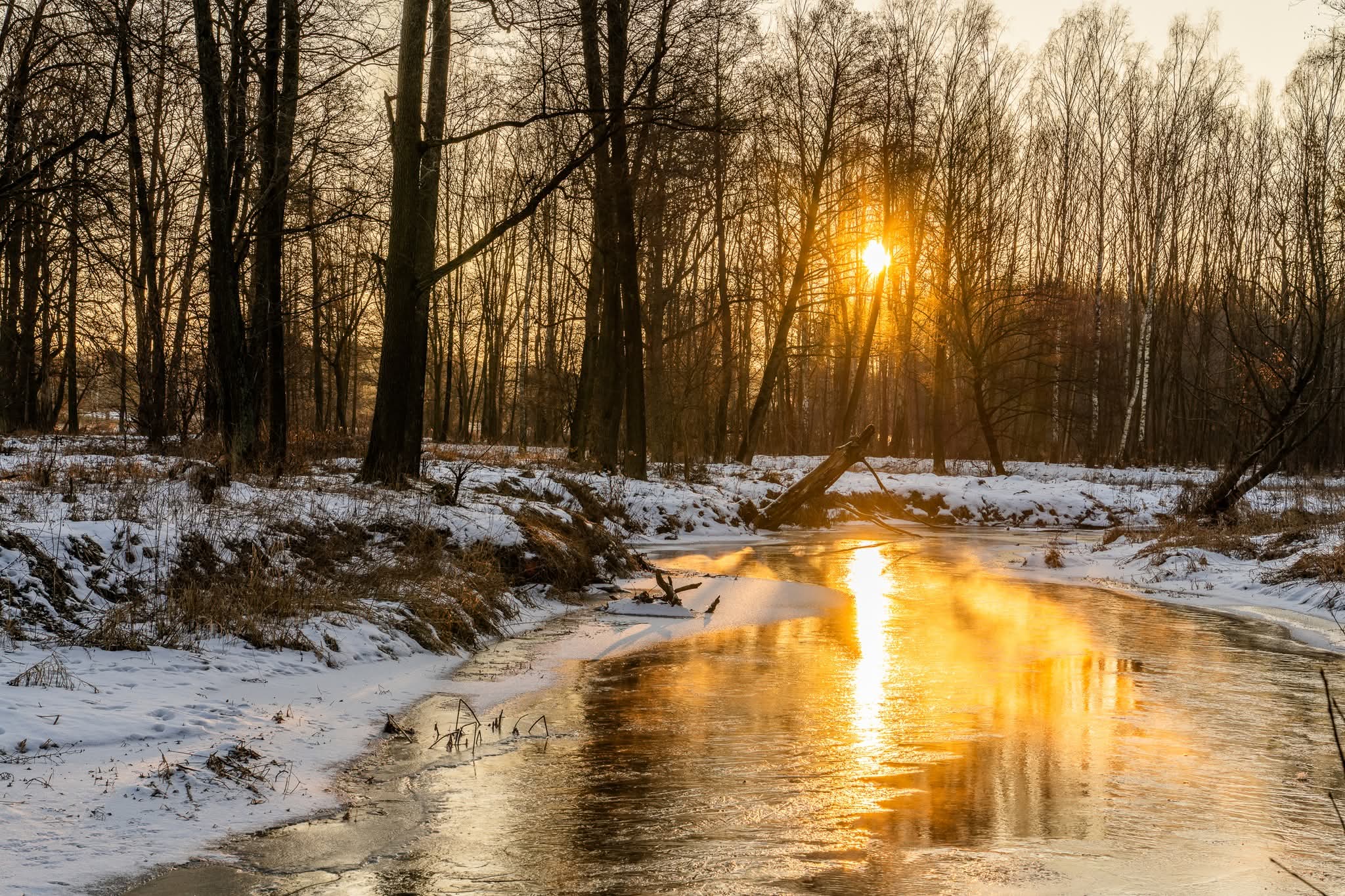 Tapeta z poczekalni pozioma