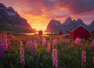 Tapety Norwegia