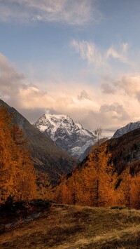 Alpy Pennińskie jesienią