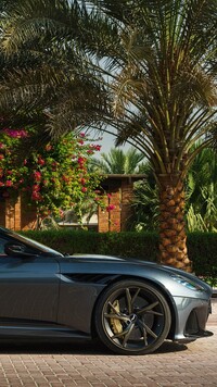 Aston Martin DBS Superleggera pod palmą