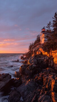 Bass Harbor Head Light na klifie w stanie Maine