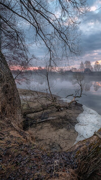 Bezlistne drzewo nad rzeką