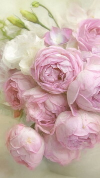 Biała eustoma i różowe róże