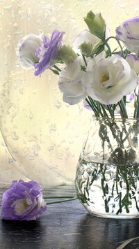 Biało-fioletowa eustoma w wazonie
