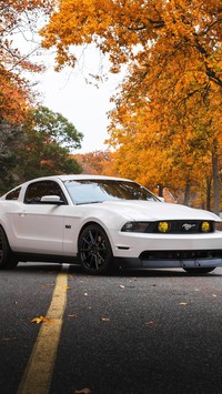 Biały Ford Mustang GT
