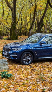 BMW X3 w jesiennym lesie