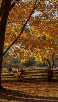 Bronte Creek Provincial Park w Ontario