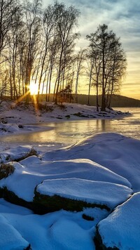 Brzozy nad zamarzniętym jeziorem