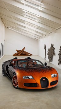 Bugatti Veyron na wystawie