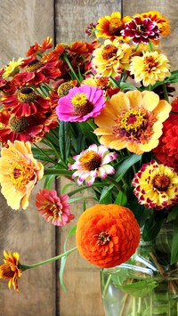 Bukiet kolorowych kwiatów