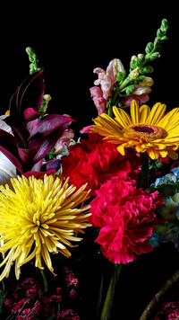 Bukiet kolorowych kwiatów