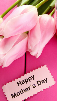 Bukiet tulipanów na Dzień Matki