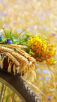 Bukiet ze zbóż i  polnych kwiatów