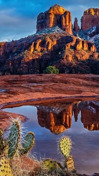 Cathedral Rock w Sedonie