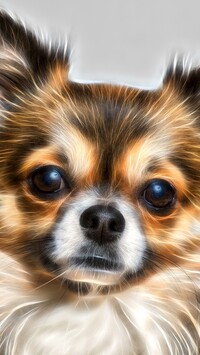 Chihuahua w grafice fractalius