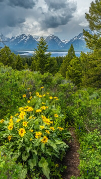 Chmury nad Parkiem Narodowym Grand Teton