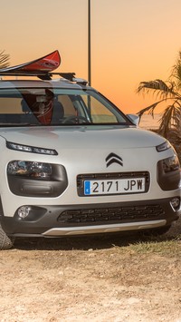 Citroen  w cieniu palm w promieniach słońca