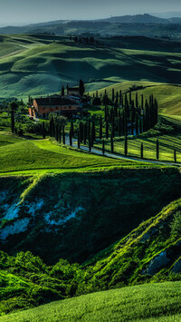 Cyprysy obok domu na zielonych wzgórzach Toskanii