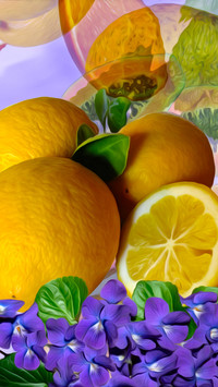 Cytryny i fiołki
