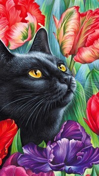 Czarny kot wśród tulipanów