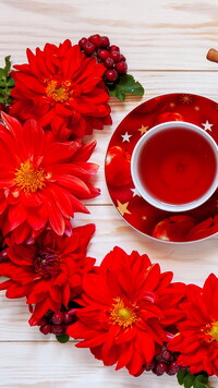 Czerwone kwiaty obok  filiżanki z herbatą