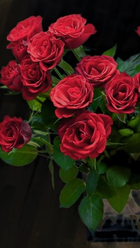 Czerwone róże w wazonie