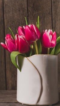 Czerwone tulipany w wazonie