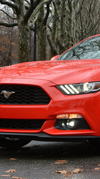 Czerwony Ford Mustang Coupe