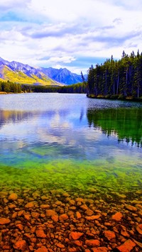 Czyste leśne jezioro w górach