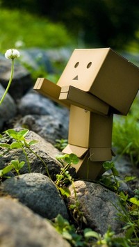 Danbo i mały kwiatek