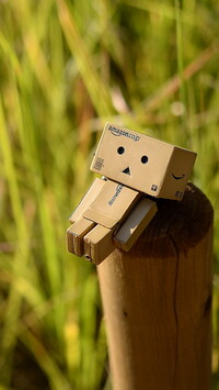 Danbo na kołku