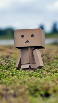 Danbo na łące