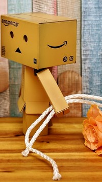 Danbo z różą