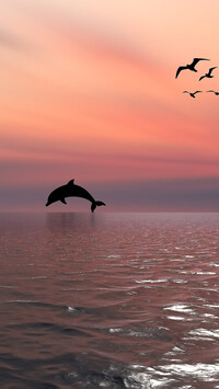 Delfin i ptaki nad morzem w 2D