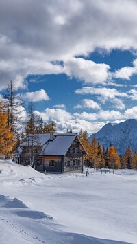 Dom i drzewa przy drodze w zimowej scenerii