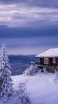 Dom i drzewa w śniegu na wzgórzu