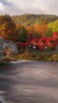 Dom i most nad rzeką Conwy River jesienią