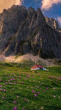 Dom na ukwieconej łące pod masywem Picos de Europa