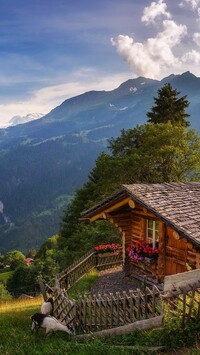 Dom na wzgórzu nad doliną Lauterbrunnental