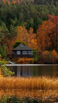 Dom pod jesiennymi drzewami nad jeziorem