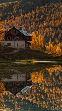 Dom pod lasem nad jeziorem Lago Federa