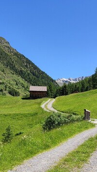 Dom przy polnej drodze w górach