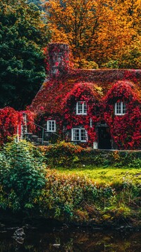 Dom Tu Hwnt ir Bont pokryty jesiennymi liśćmi