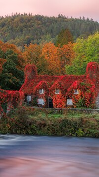 Dom Tu Hwnt ir Bont w Llanrwst jesienią