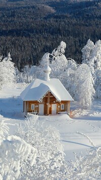 Dom w śniegu pod ośnieżonymi drzewami
